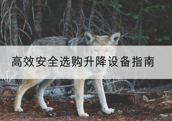 福贡升降货梯厂家推荐-*安全选购升降设备指南