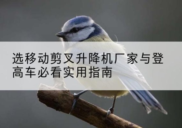 福贡电动升降机厂家-选移动剪叉升降机厂家与登高车必看实用指南